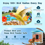 VEVOR Bird Feeder with Camera, Smart Bird House Camera Solar Powered, Wireless Vedio Birdhouse with AI Identify Resolution, 2K Full HD, Auto Detect & Notify, Ideal Present Choice for Bird Lover VEVOR