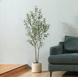 LOMANTO Artificial Olive Trees, 5 ft Tall Fake Olive Trees for Indoor, Faux Olive Silk Tree, Large Olive Plants with White Planter for Home Decor and Housewarming Gift, 1 Pack LOMANTO
