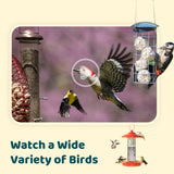 NETVUE by Birdfy Upgraded Smart Bird Feeder Camera, Solar Powered, Auto Bird Video Capture, Instant Notifications, AI Identify 6000+ Species NETVUE