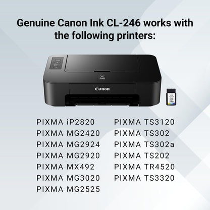 Canon CL-246 Genuine Color Ink Cartridge, Compatible with iP2820, MG2420/2924/2920/3020/2522/2525, MX492, TS3120/302/302a/202/202a/4520/3320