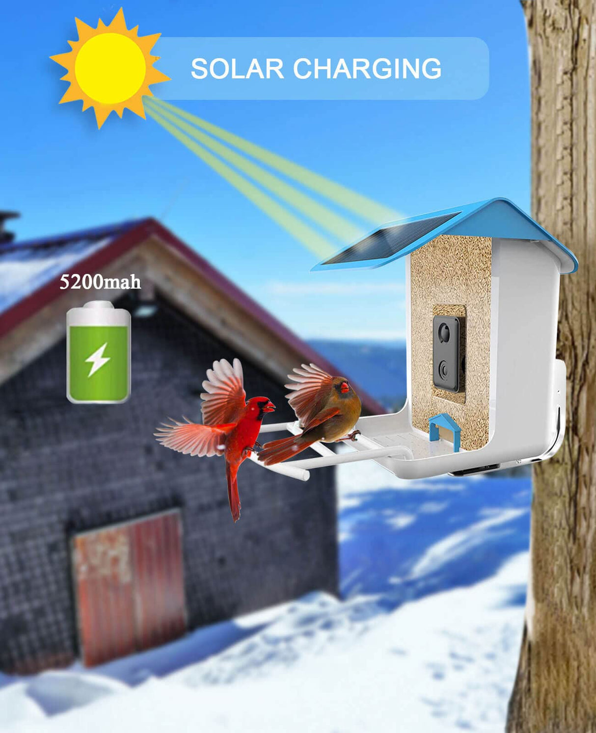 Smart Bird Feeder with Camera Wireless Outdoor, Feeders for Outside, Solar Energy Generation, 1080P HD, APP Connection, IP65 Waterproof, AI Identify GOUHOME