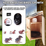 Q-DIRT PRO Smart Bird House Camera Solar Powered, 1080p HD Wireless Birdhouses for Outdoors, Auto Capture Bird Videos & Motion Detectio and App Notify, Bird House Box Present for Wild Birds Q-DIRT PRO