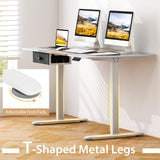 Giantex Electric Standing Desk, 55" x 28" Height Adjustable Desk with Memory Preset Controller, Storage Drawer, USB Charging Port, 2 Cable Holes, Stand Up Computer Desk for Home, Office, Gray Giantex