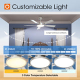 addlon Ceiling Fans with Lights, 52 inch Silver Ceiling fan with Light and Remote Control, Reversible, 3CCT, Dimmable, Noiseless, Ceiling Fan for Bedroom, Farmhouse, living room, Indoor/Outdoor Use addlon