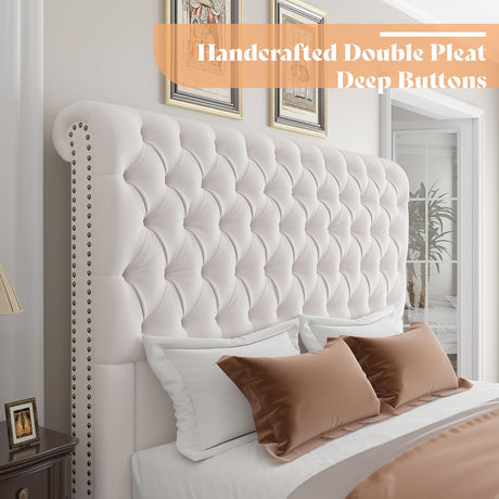 AMERLIFE King Size Bed Frame 60" Tall Sleigh Headboard Bed with Velvet Upholstered Platform, No Box Spring Needed, Cream AMERLIFE