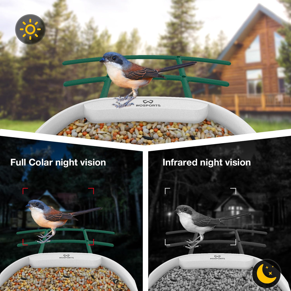 WOSPORTS Bird Feeder with Camera Solar Powered,Wireless Smart Bird Watching Camera,AI Identify 10000+ Bird Species,1080P HD Camera Auto Capture Videos,Instant Notifications,Ideal Gift for Bird Lover WOSPORTS