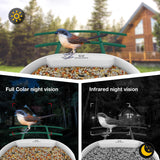 WOSPORTS Bird Feeder with Camera Solar Powered,Wireless Smart Bird Watching Camera,AI Identify 10000+ Bird Species,1080P HD Camera Auto Capture Videos,Instant Notifications,Ideal Gift for Bird Lover WOSPORTS