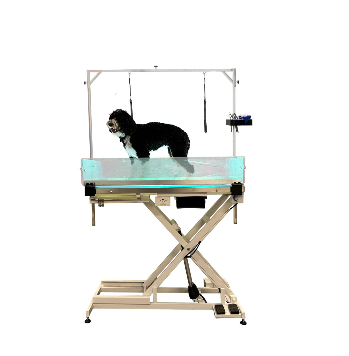 Cove Products LED Lit Master Groomer Electric Lift Grooming Table (Complete Package) Cove Products