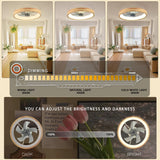 WenineStar 20” Ceiling Fan with Light, Dimmable LED Timing with Remote Control, 5 Invisible Reversible Blades Semi Flush Mount Low Profile Fan, Wood WenineStar