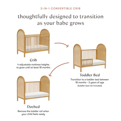 babyletto Bondi Cane 3-in-1 Convertible Crib with Toddler Bed Conversion Kit in Honey with Natural Cane, Greenguard Gold Certified