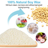 DINGPAI Candle Making Supplies, Complete Soy Candle Making Set Including Candle Make Pouring Pot, Candle Wicks, Wicks Sticker, 3-Hole Candle Wicks Holder, Natural Soy Wax and Spoon DINGPAI