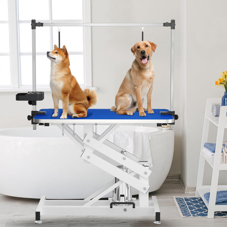 MODCART 43" Hydraulic Pet Grooming Table w/Anti-Static Table Top, Heav Duty Z-Lift Dog Grooming Table/21-36 w/Armrests/Leash Covers/Tool Organiyzers/Hooks, Weight Capacity 330LBS Black MODCART
