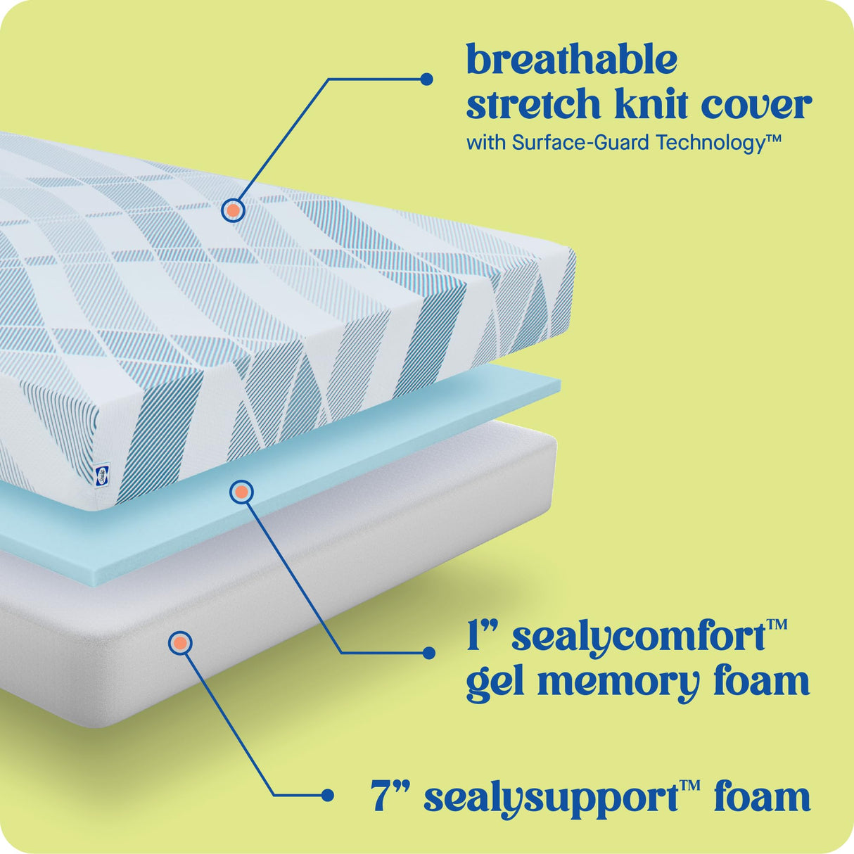 Sealy Dreamlife 8” Foam Mattress-in-a-Box, Queen, SealyComfort Gel Memory Foam, Surface-Guard Technology, Breathable Comfort Sealy
