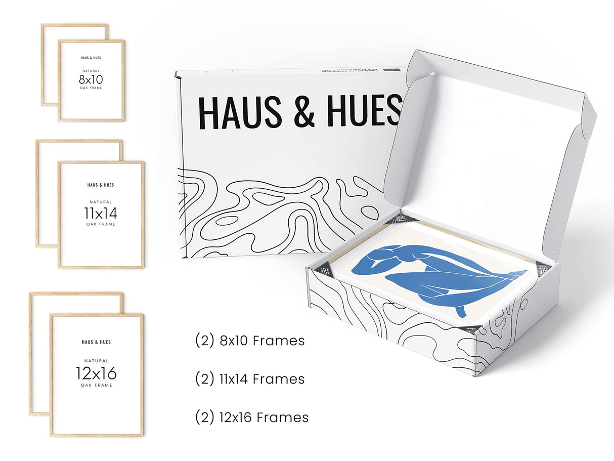 HAUS AND HUES Natural Wood Picture Frames - Set of 6 Frame Sets for Wall Collage, Gallery Wall Frame Set Assorted, Picture Frame Sets for Wall Collage (Two 8x10, Two 11x14, Two 12x16 Framed Beige) HAUS AND HUES