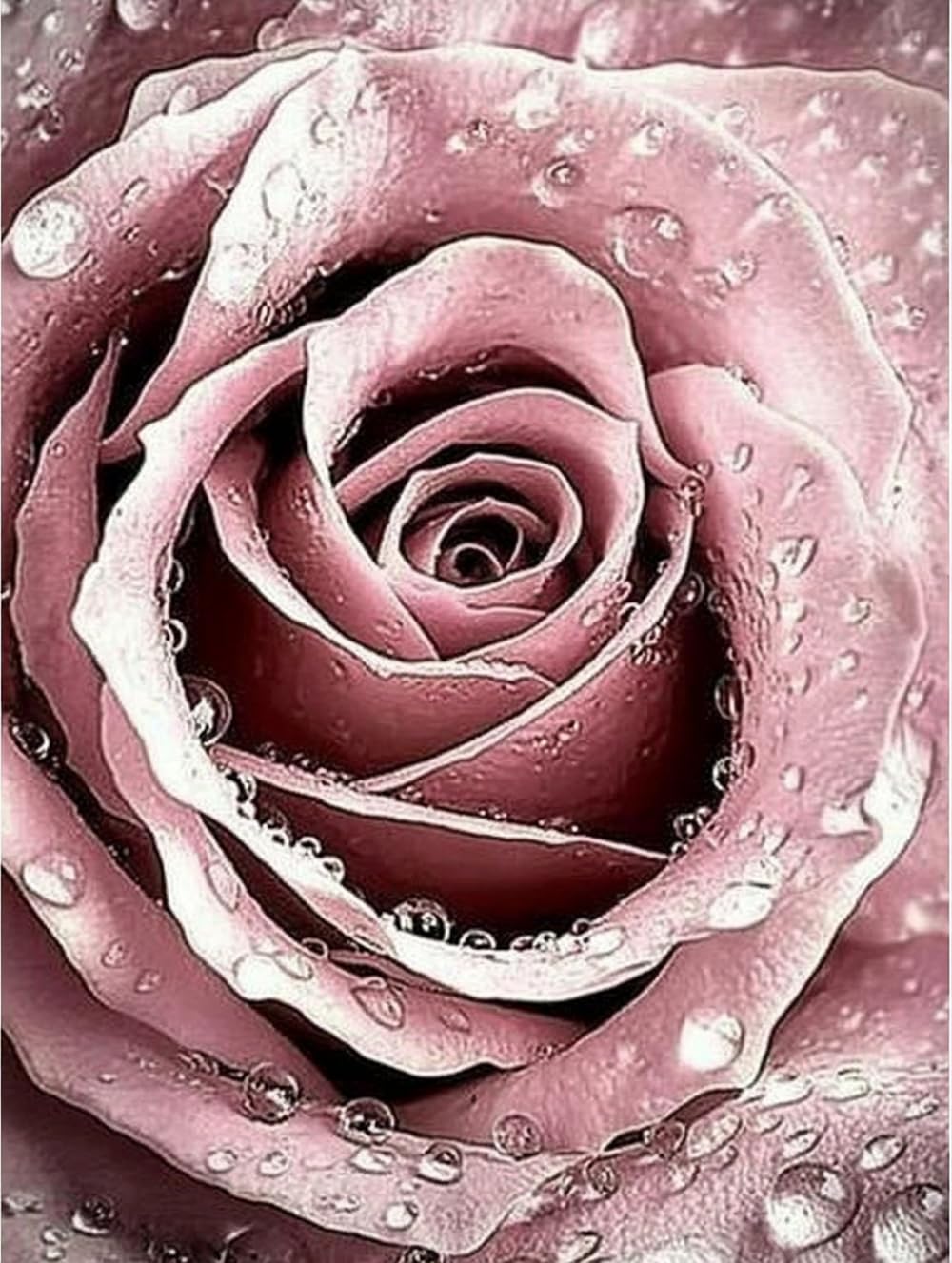 pigpigboss Pink Rose Diamond Painting Art Kit, 5D Full Round Drill Waterdrop Rose Diamond Dots Arts Crafts for Adults Beginner Home Office Wall Holiday Decor (11.8 x 15.7 inches) pigpigboss