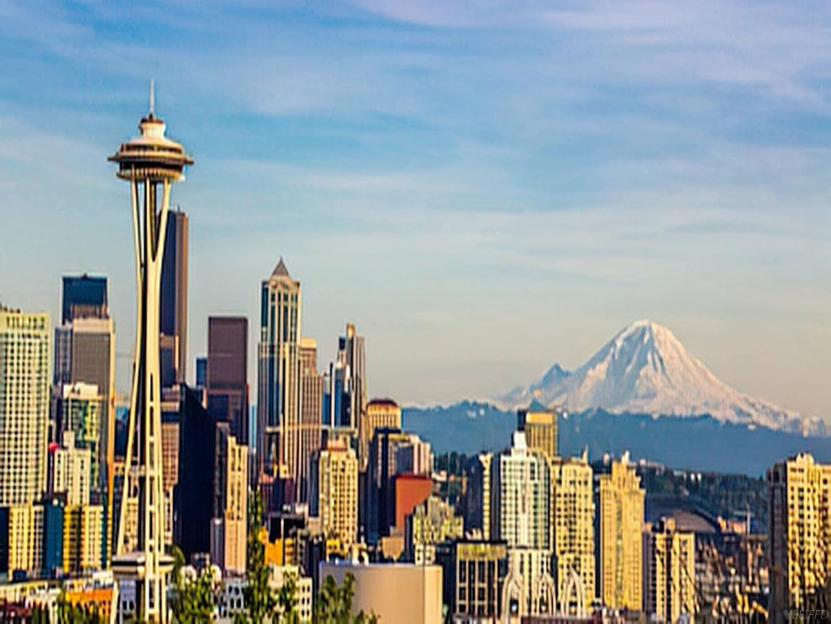 YEEIFFD Diamond Painting Seattle Mount Rainier Giving The Backdrop to Seattle Skyline for Adult Painting Kits Diamond Art Perfect for Home Wall Decor 12"x16" YEEIFFD