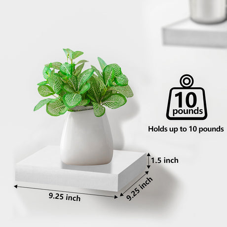 Sorbus Square Floating Shelf for Wall - 3 Small Shelves with Invisible Mounting Brackets for Living Room Decor, Bedroom, Bathroom Decor, Home & Kitchen - 9" White Wall Shelf to Display Photos Trophies Sorbus