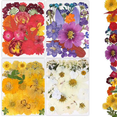 Buzidao Dried Pressed Flowers, 80Pcs Real Natural Pressed Flowers for Resin Nail Art Scrapbooking Candle Jewelry Making Real Bulk Dried Pressed Flowers Resin Supplies Kit (Multi Color-5) Buzidao