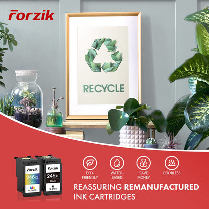 Forzik Remanufactured Ink Cartridge Replacement for Canon 245XL 246XL Black and Tri-color 2 Pack