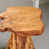 Greenage Cedar Roots Plant Stand Tree Stump End Table 13.5" x 16" x 19" H Wooden Live Edge Side Table for Living Room Bedroom Home Decor Courtyard Wooden Stool Greenage