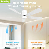 DAMINY 52 inch 5 Blades White Ceiling Fans with Lights,Flush Mount,6CCT, Low Profile Ceiling Fan with Light and Remote Control,DC Motor,Ceiling Fan for Bedroom, Kitchen,Living Room,Indoor/Outdoor Use DAMINY