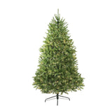 Northlight Pre-Lit Northern Full Artificial Christmas Tree with Clear Lights, 14' Northlight