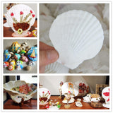 Allazone 58 PCS Shell Painting Kit, Art and Craft Kits, DIY Painting Crafts Set Included Sea Shell, Brushes, Stickers, Eyes, Glitter Glue for Activities DIY or Home Decor Allazone