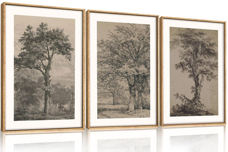 KAIRNE Vintage Tree Sketch Wall Art Set, Antique Tree Drawings Wall Decor, Nature Sketch Wall Painting, Framed Botanical Canvas Art Prints for Living Room, Bedroom, Dinning Room, Farmhouse - 16"x24"x3 KAIRNE
