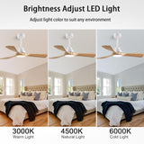 dearnow 52" Wood Ceiling Fan with Light with Remote Control Ceiling Fan with 3 Wood Blades, Solid Wood Ceiling Fan Indoor Outdoor for Dining Room, Living Room, Office, Farmhouse etc.… dearnow