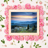 DIY Digital Acrylic Painting Set Scenic Blue Ridge Park Way Appalachians Smoky Mountains Spring Paint by Numbers on Canvas Without Frame for Adult Beginner Children Art Craft Wall Decor 16x20in LAENAKR