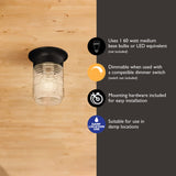 Design House 587220 Jelly Jar 1-Light Indoor/Outdoor Flush Mount Ceiling Light, Black Design House