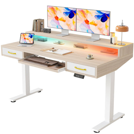 TIQLAB 55 x 28 Inch Height Adjustable Electric Standing Desk with Double Drawers&Keyboard Tray, Stand Up Desk with LED Strips&Monitor Stand, Light Walnut TIQLAB