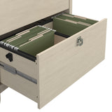 Salinas Farmhouse 2 Drawer Lateral File Cabinet for Home Office Storage Bush Business Furniture