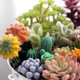 MGLIFEUL 10Pcs Succulent Cactus Plant Flower Silicone Resin Candle Soap Mold for Scented Candles Resin Soap Making Molds 3D Silicone Shapes Moldes De Silicona para Velas Artesanales De Silicona MGLIFEUL