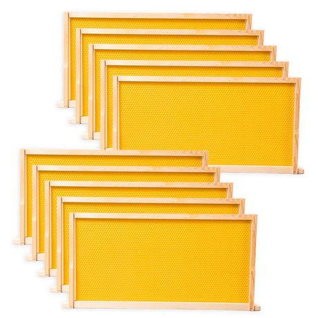 BeeCastle 10 Pack Beehive Frames and Wax Foundations for Deep Brood Bee Hives with Wooden Bee Hive Frames and 100% Beeswax Coated Foundations, 9-1/8-Inch (Yellow) BeeCastle