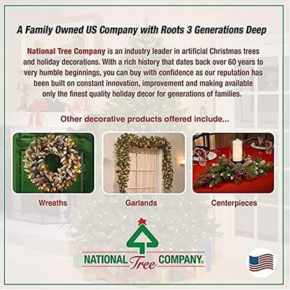 National Tree Company Pre-Lit Artificial Mini Christmas Tree, Green, Kincaid Spruce, White Lights, Includes Stand, 4 Feet