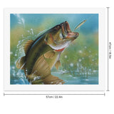Bass Fishing Paint by Numbers for Adults Beginner DIY Painting Kits Wall Art for Home Office Decor WoodArtSupply