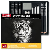 Charcoal Pencils for Drawing, Set of 22, Professional Drawing Sketch Pencils, Art Supplies for Sketching, Shading, Artist Charcoal Supplies for Beginners & Pro Artists. Aenir