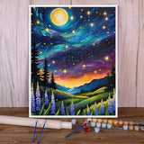 Paint by Numbers Kit for Adults-Starry Sky Paint by Number Kits on Canvas Without Frame, DIY Abstract Landscape Adults' Paint-by-Number Kits Oil Painting for Home Wall Decor16x20inch Generic