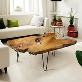 TRFCDSHH Natural Wood Coffee Table，Unique Live Edge Coffee Table for Living Room TRFCDSHH