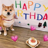 2 Pieces Large Banners Signs Polyester Oxford Cloth Sublimation Banner with Rope for Indoor Wall Outdoor Easy Hang Sign DIY Banner Sign for Business Office Supply (White,2 x 5 Feet) Peramarl