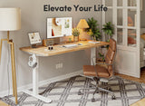 FEZIBO 55 x 24 Inchs Electric Standing Desk, Height Adjustable, Sit Stand Up, Computer Office Desk with Splice Board, White Frame/Maple Top FEZIBO