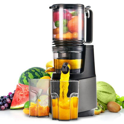 Cold Press Juicer,Slow Masticating Juicer Machines with 5.3" Large Feed Chute for Most Fruits and Vegetables,Easy to Clean Lemon Orange Juicer with 250W Motor and High Juice Yield,Deep Grey