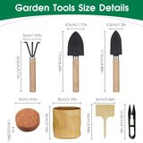 RiRifue Bonsai Tree Seed Starter Kit, with 4 Pcs Mini Garden Bonsai Tool Kit, 5 Tree Seeds Variety Pack for Planting, Creative Gardening Gifts for Plant Lovers Women Men Kid RiRifue