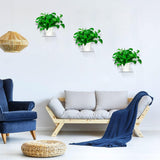 Trailwalk Acrylic Small Shelf,Mini Floating Wall Shelf,Wall Mounted Storage Shelf,for Pop Figures,Plant,Picture Photo Modern Wall for Office Bedroom Living Room,Clear (3 Pack) Trailwalk