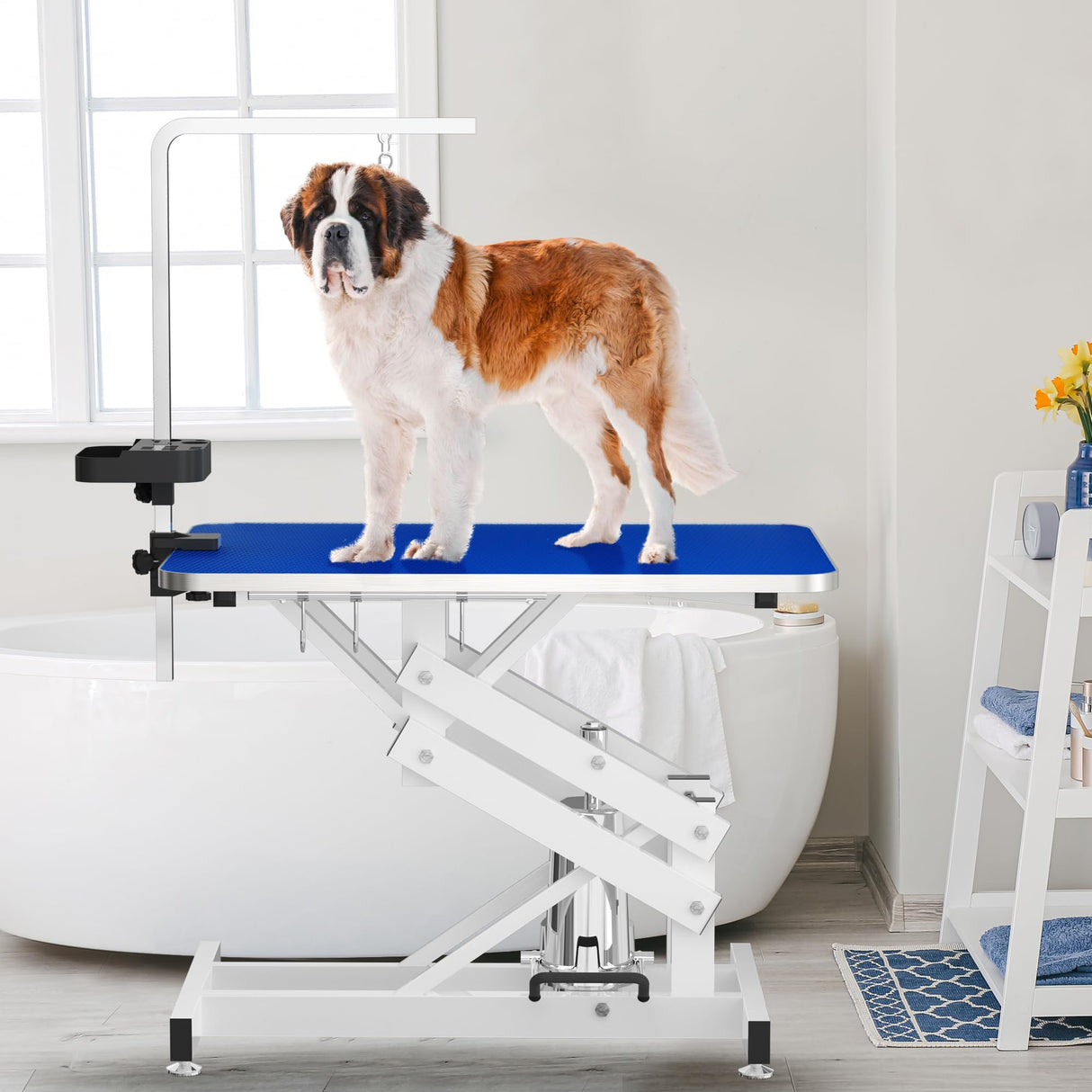 ROOMTEC 43" Hydraulic Pet Grooming Table w/Anti-Static Table Top, Heav Duty Z-Lift Dog Grooming Table/21-36 w/Armrests/Leash Covers/Tool Organiyzers/Hooks, Weight Capacity 330LBS (Blue) ROOMTEC
