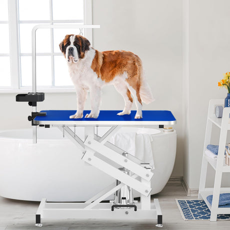 ROOMTEC 43" Hydraulic Pet Grooming Table w/Anti-Static Table Top, Heav Duty Z-Lift Dog Grooming Table/21-36 w/Armrests/Leash Covers/Tool Organiyzers/Hooks, Weight Capacity 330LBS (Blue) ROOMTEC