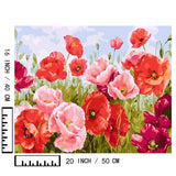 BAISITE Paint by Numbers Kit for Adults Beginners,20" Wx16 L Canvas for Painting Kits for Adults in Colorful Box Poppy Flowers-BSC001 BAISITE