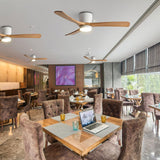 IBalody 36in Quiet Ceiling Fan with Light Remote ETL Listed White Ceiling Fan Light 6 Gear Wind Speed, Solid Wood Blades Modern Indoor Ceiling Fan for Bedroom Living Room Dining Room IBalody