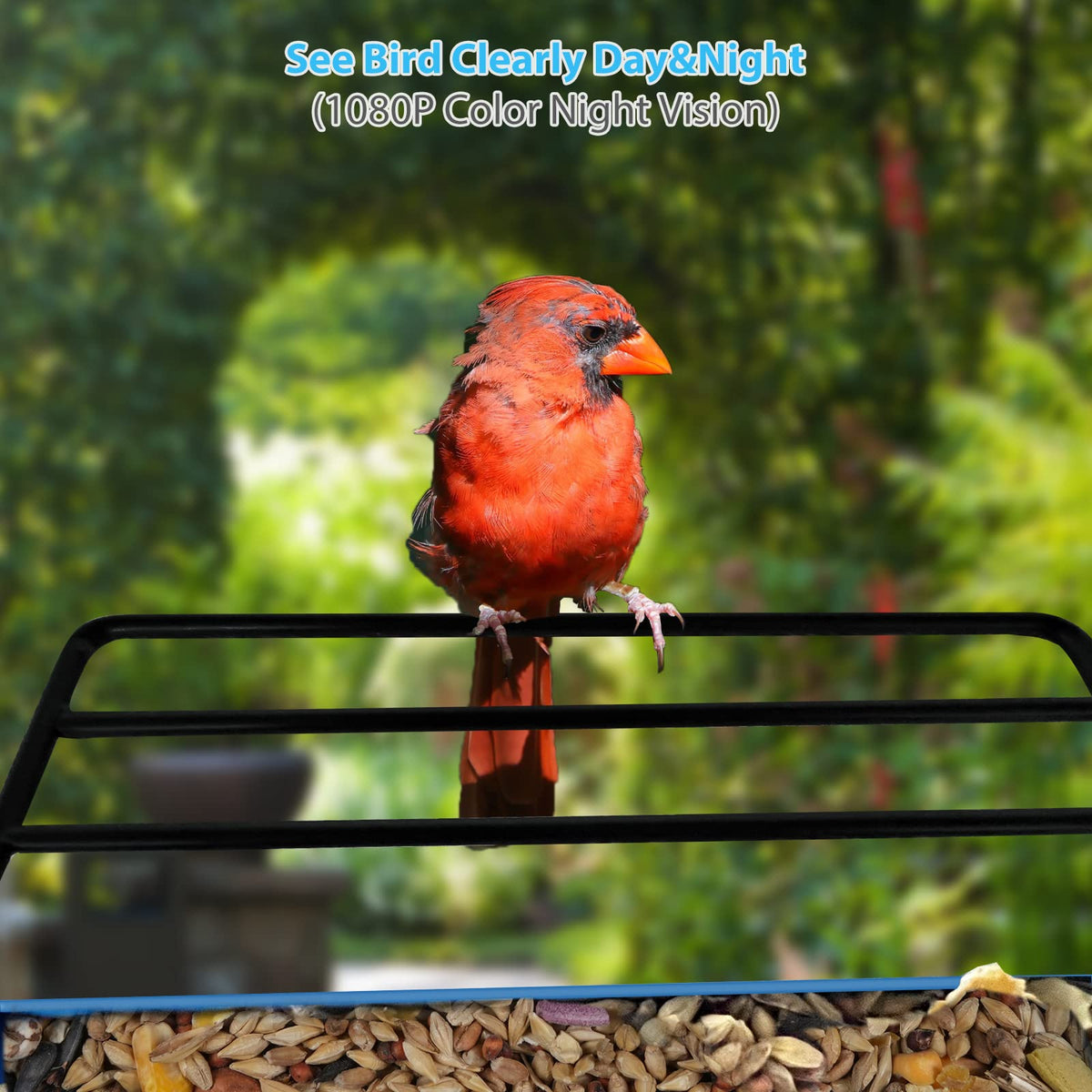 Smart Bird Feeder with Camera.Auto Capture Bird Videos & Bird Motion Detection,Wireless App Notification,Bird House Camera,Lifetime 32G Free Space.Idea Gift AMOEJOV